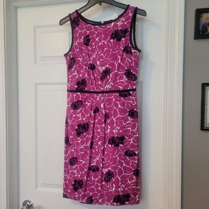 NWT Ann Taylor Purple Dress with Black Flowers Size 2